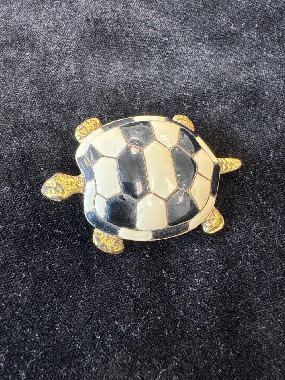 Vintage charming turtle